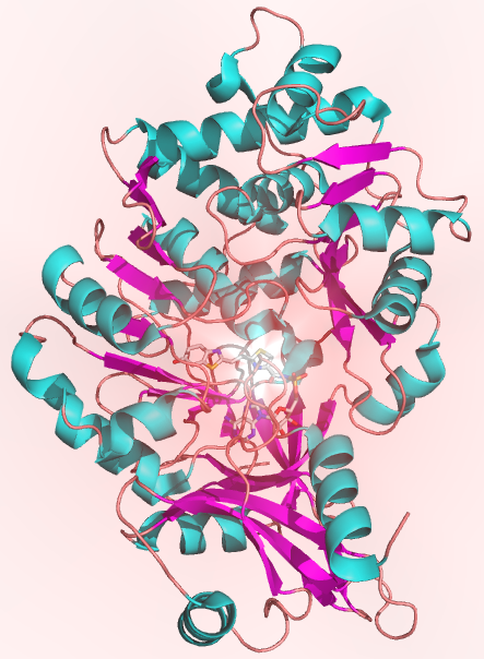 Brighter Enzymes. Clearer Insights.