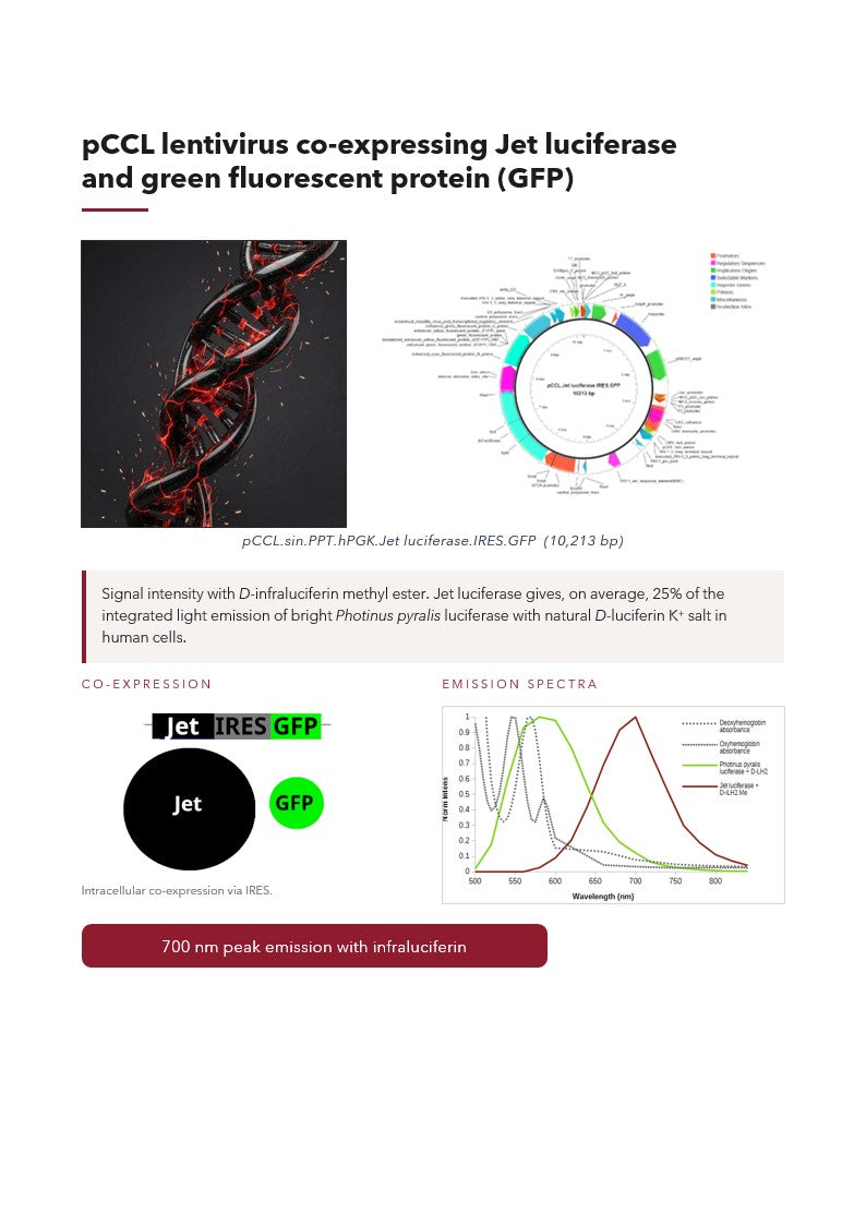 pCCL.Jet_luciferase.I.GFP